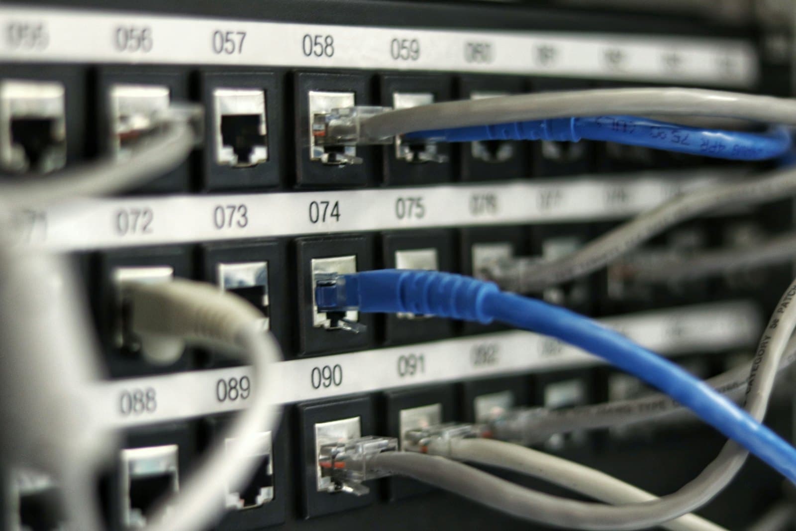 Network patch panel with numbered ports and cabling